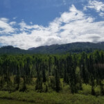 On The Road. On The Road