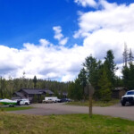 A bison is blocking our path back to the apartment. 2019-06-12_Day_Off