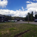 A bison is blocking our path back to the apartment. 2019-06-12_Day_Off