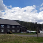 A bison is blocking our path back to the apartment. 2019-06-12_Day_Off