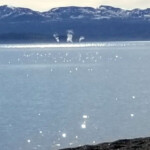 2019-06-13_Gull_Point