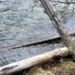 2019-06-14_Mud_Volcano