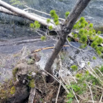 2019-06-14_Mud_Volcano