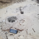 2019-06-14_Mud_Volcano