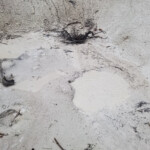 2019-06-14_Mud_Volcano