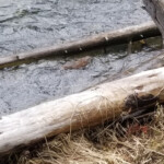 2019-06-14_Mud_Volcano