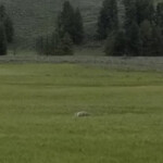 2019-06-14_Mud_Volcano