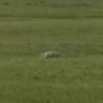 2019-06-14_Mud_Volcano