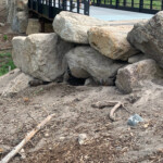 A Couple of Marmots. 2019-06-30_Canyon_Village-Sandra-16