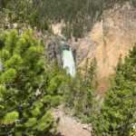 Lower Falls of the Yellowstone River 2019-06-30_Canyon_Village-Sandra-25
