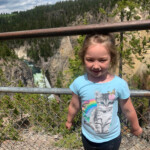 Lower Falls of the Yellowstone River 2019-06-30_Canyon_Village-Sandra-26
