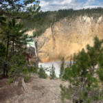 Lower Falls of the Yellowstone River 2019-06-30_Canyon_Village-Sandra-30