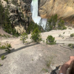 Lower Falls of the Yellowstone River 2019-06-30_Canyon_Village-Sandra-32