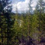 2019-07-03_Duck_Lake_Trail-05