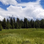 2019-07-03_Lake_Overlook_Trail-04