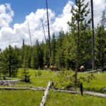 2019-07-03_Lake_Overlook_Trail-08