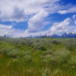 Love how the Tetons just pop out of the valley floor. 2019-07-04_Jackson_Hole-19
