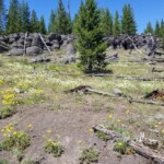 2019-07-13_Mystic_Falls-26