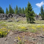 2019-07-13_Mystic_Falls-27