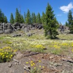 2019-07-13_Mystic_Falls-28