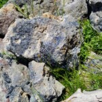 2019-07-13_Mystic_Falls-41