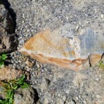 2019-07-13_Mystic_Falls-42