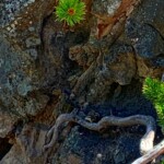 2019-07-13_Mystic_Falls-47