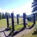 2019-07-13_Mystic_Falls-54