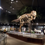 2019-07-21_Bozeman_Day-2-03