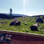 2019-07-21_Bozeman_Day-2-05