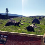 2019-07-21_Bozeman_Day-2-06