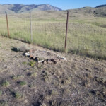 Lone unmarked grave. 2019-07-21_Tinker_Hill-03