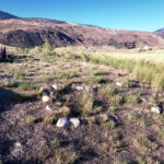 Unmarked grave 2019-07-21_Tinker_Hill-04