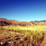 Looking uphill 2019-07-21_Tinker_Hill-05