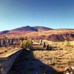 Fenced and un-fenced 2019-07-21_Tinker_Hill-06