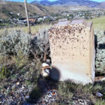 A lot of the headstones are getting weathered pretty badly. 2019-07-21_Tinker_Hill-22