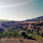 Tinker's Hill Cemetery 2019-07-21_Tinker_Hill-24