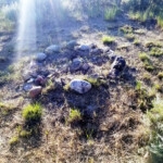 Why is it round? 2019-07-21_Tinker_Hill-25