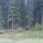 Day_2_Alaska_Canada_06-04-2019-24