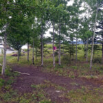 Day_3_Canada_06-05-2019-02