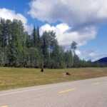 Day_3_Canada_06-05-2019-57