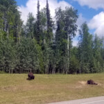 Day_3_Canada_06-05-2019-58