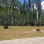 Day_3_Canada_06-05-2019-59