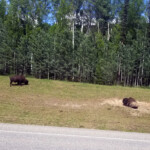 Day_3_Canada_06-05-2019-60
