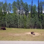 Day_3_Canada_06-05-2019-61