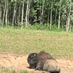 Day_3_Canada_06-05-2019-Sandra