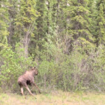 Day_4_Canada_06-06-2019-Sandra