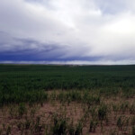 Day_6_Canada_Montana_06-08-2019-16
