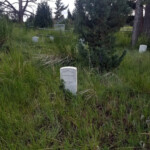 2019-07-23_North_Rim