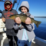 What a face! 2019-07-25 On The Lake